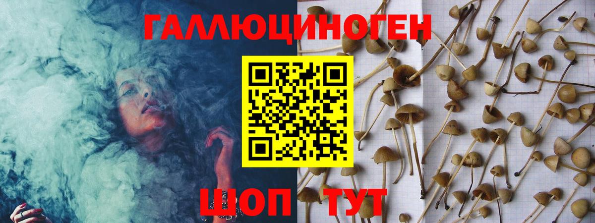 Псилоцибиновые грибы MAGIC MUSHROOMS  Псилоцибиновые грибы прущие грибы  Вход с VPN  Самара 